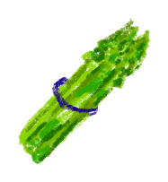 asparagus