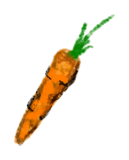 carrot
