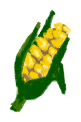 corn