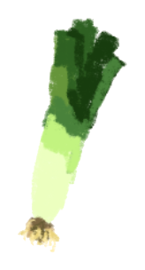 leek