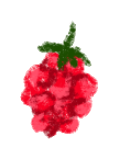 raspberries